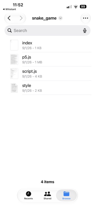 The iOS Files app showing the app's sandbox folder with index.html, p5.js, script.js and style.css side by side.